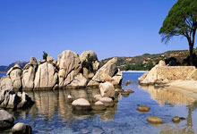 PG游戏-包含Karsa爆冷击败塞尔维亚队，突破纪录引爆全场！的词条